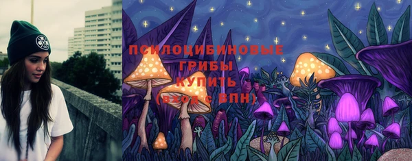 амф Семилуки